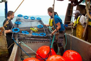 bateau-la-fregate-boulogne-sur-mer-4040